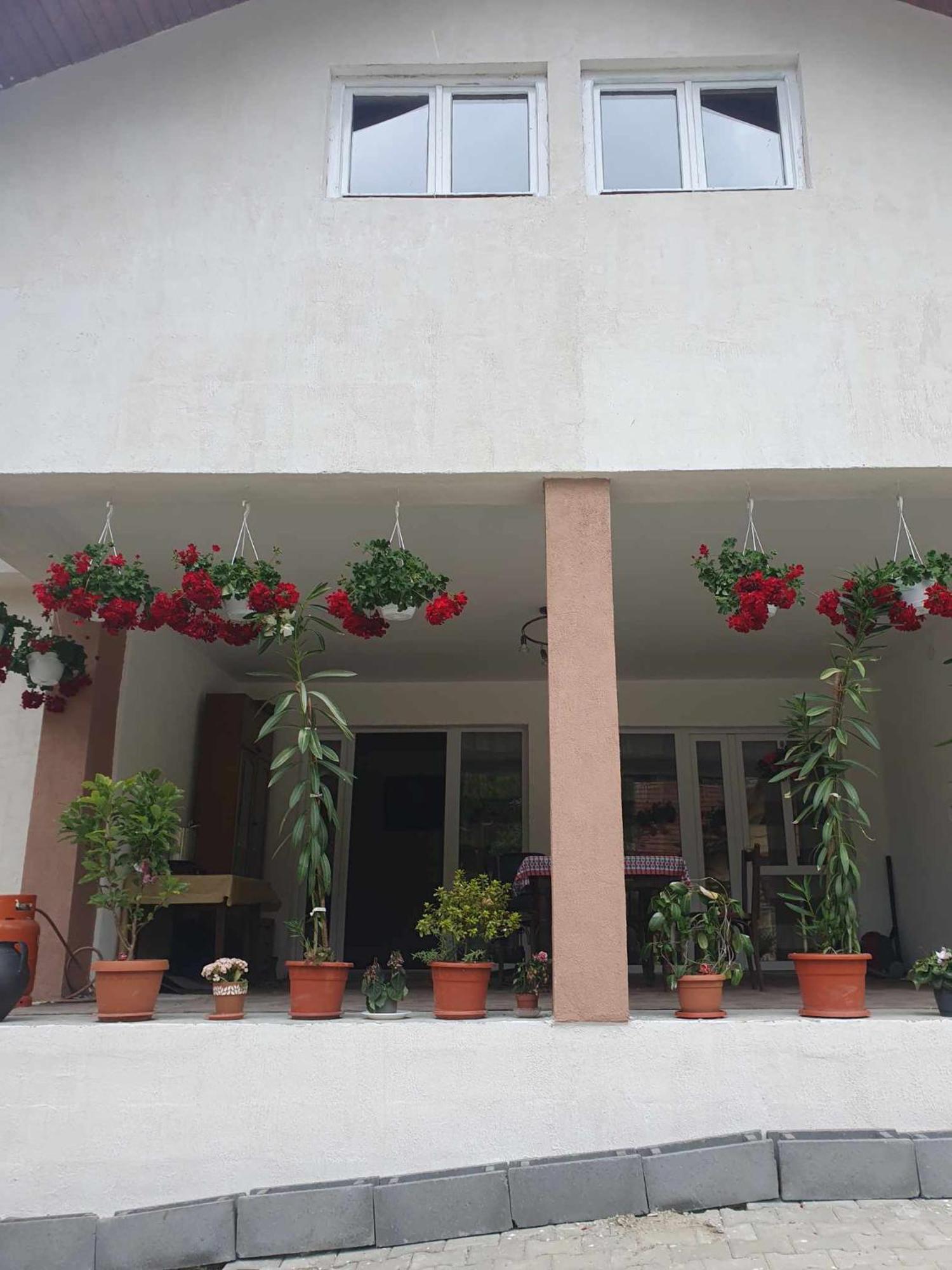 Casa Maksai Hotel Sovata Exterior photo