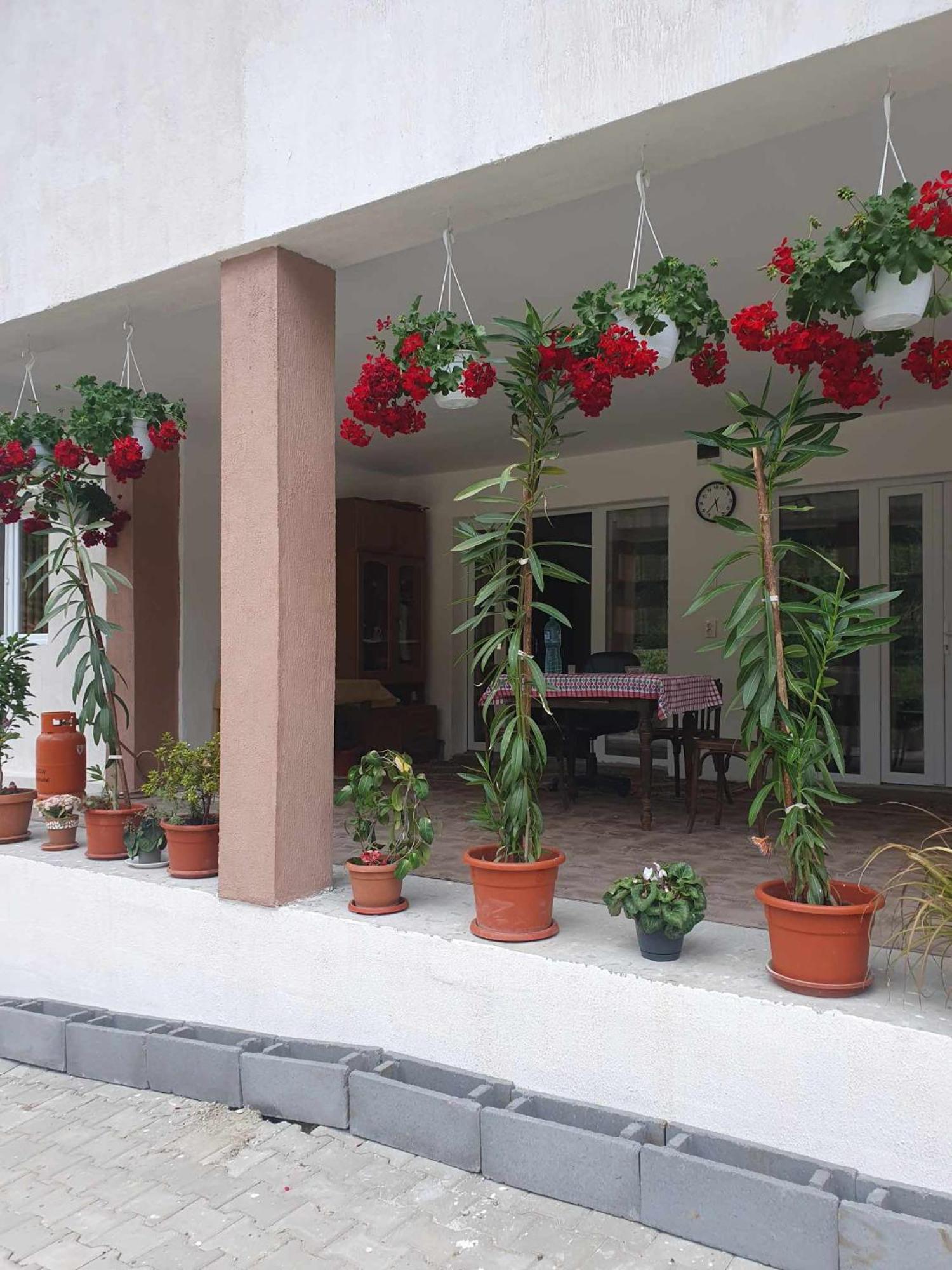 Casa Maksai Hotel Sovata Exterior photo